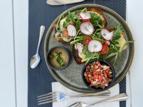 Gourmet plated meal with open-faced sandwiches topped with radishes and greens, served with small bowls of sauce and diced tomatoes on a gray plate